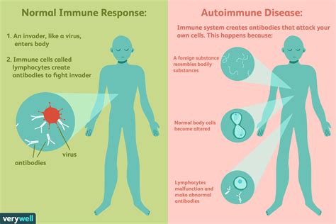  An overactive immune response can trigger allergies and auto-immune problems; an underactive response can make the body vulnerable to infections or make it a more favorable host for the growth of cancer cells